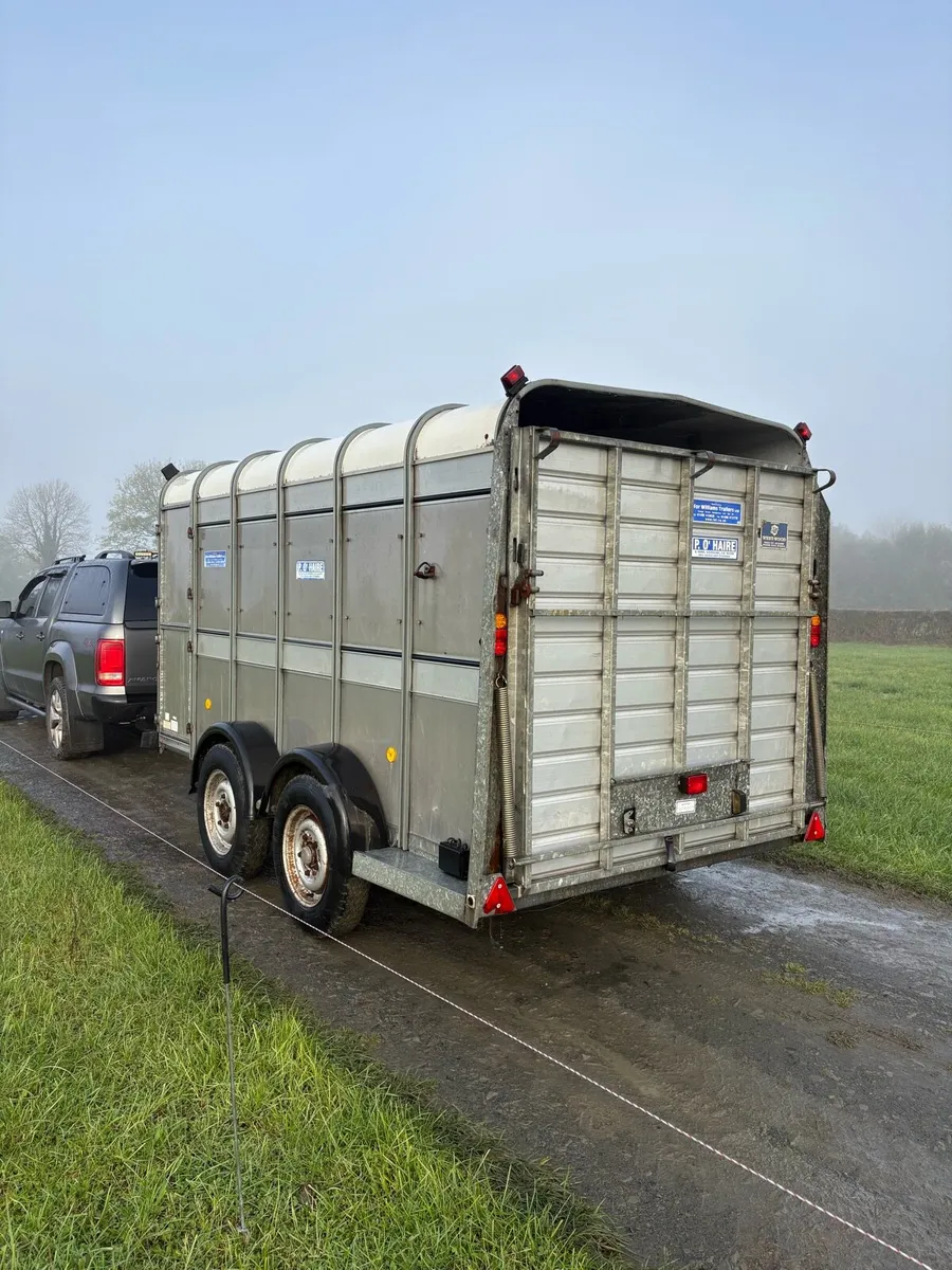 12x6 ifor Williams cattle trailer - Image 3