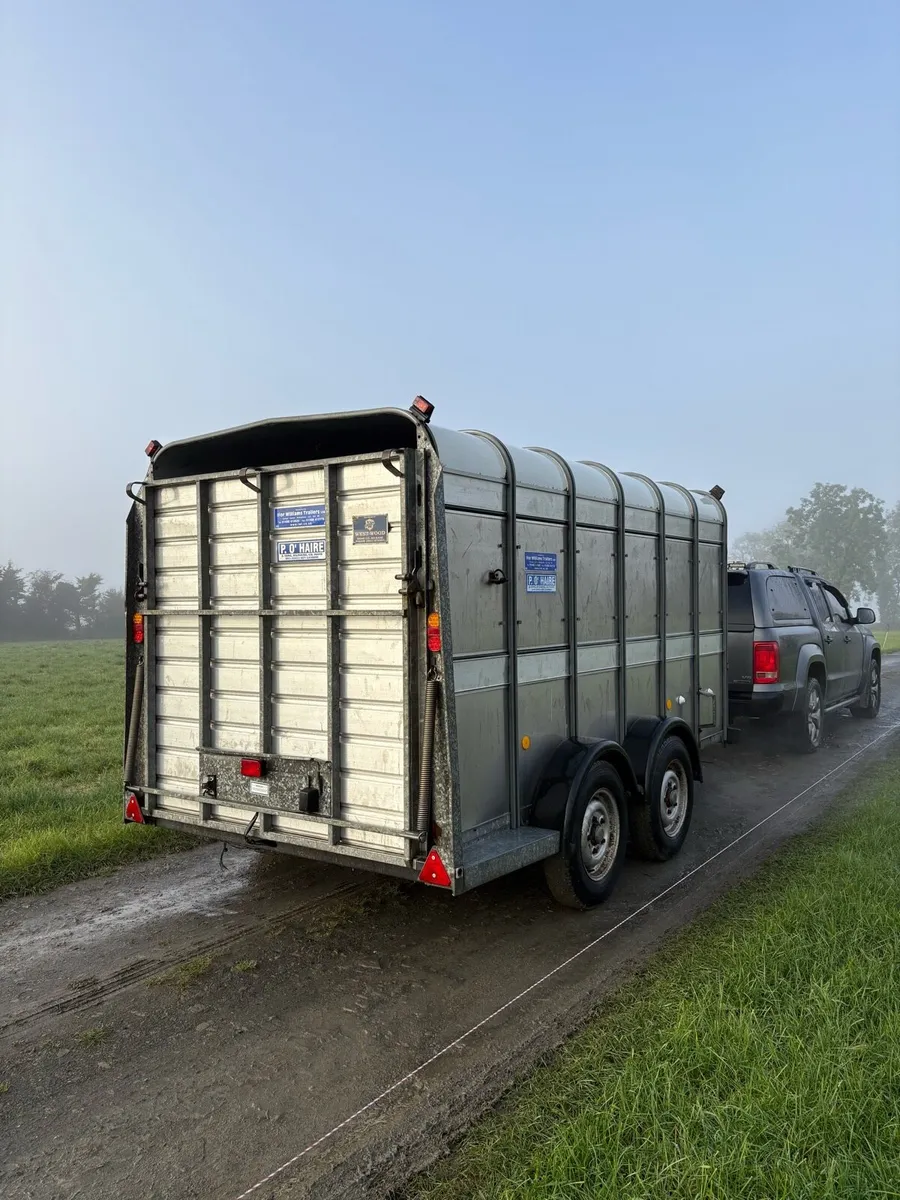 12x6 ifor Williams cattle trailer - Image 4