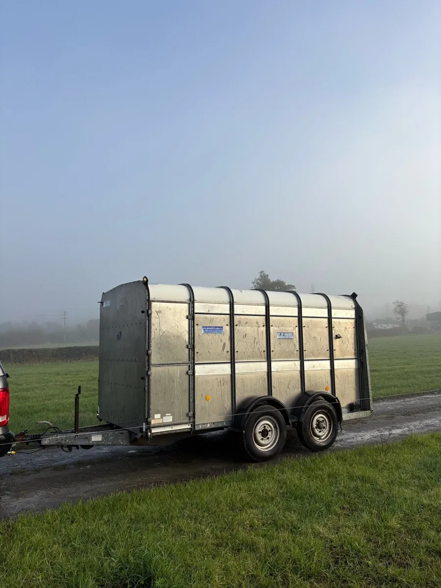 12x6 ifor Williams cattle trailer - Image 2