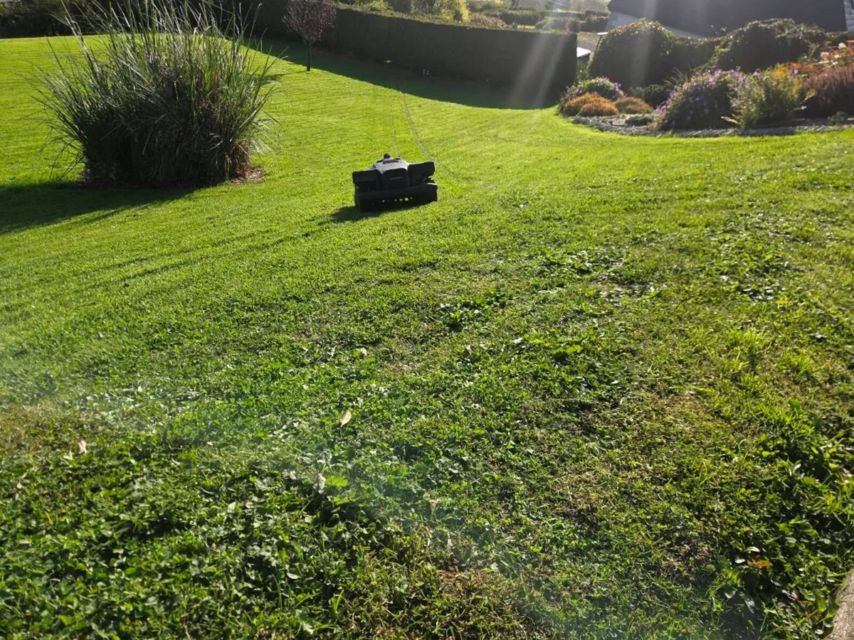 Robrock lawnmower - Image 2