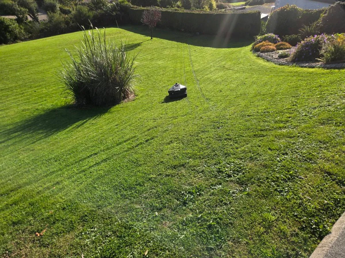 Robrock lawnmower - Image 3