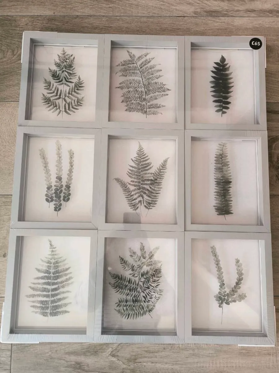Set of 9 floating framed prints of foliage (New) - Image 1