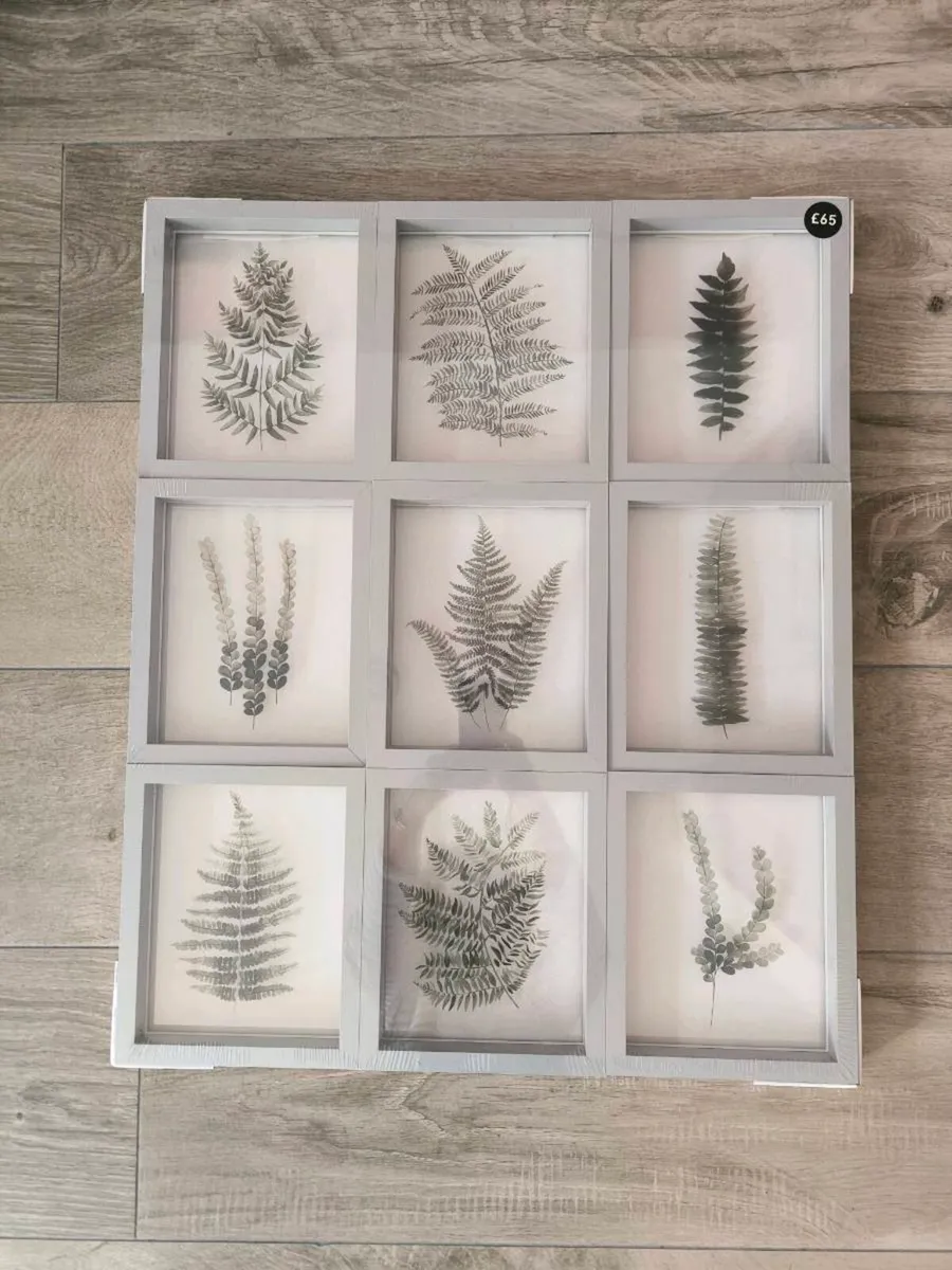 Set of 9 floating framed prints of foliage (New) - Image 2