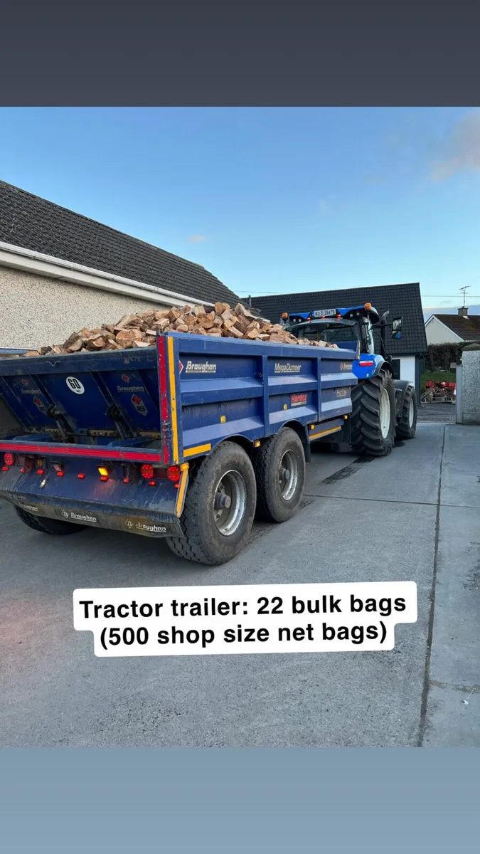 Hardwood logs - Image 4