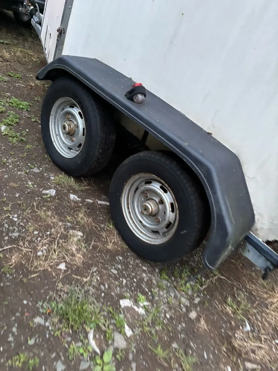 Indespension Monarque Double Horse Trailer - Image 3