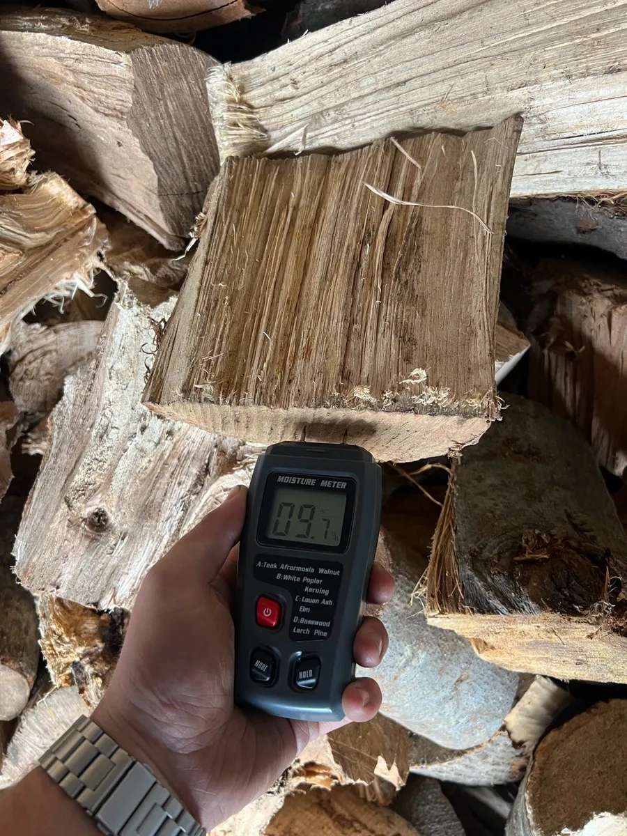 Softwood logs - Image 2