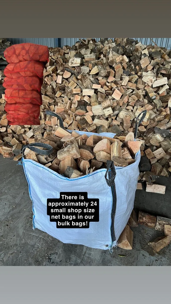 Softwood logs - Image 4