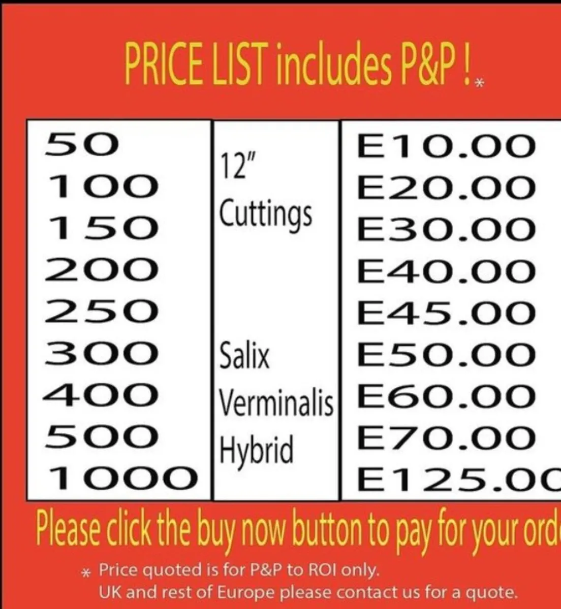 300x12" hybrid willow rod cuttings hedging ecofire - Image 2