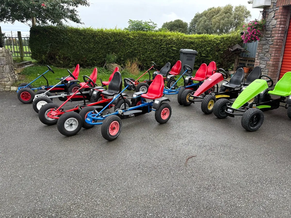 Berg Go Carts - Image 1