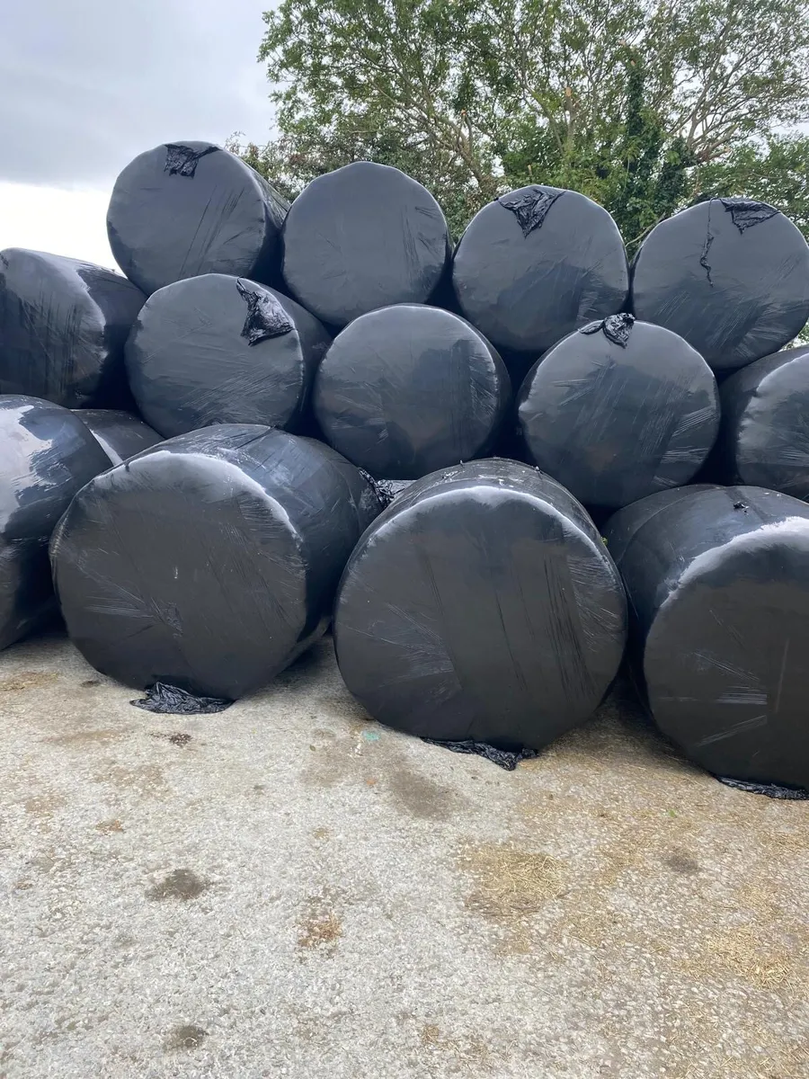 Silage bales - Image 1