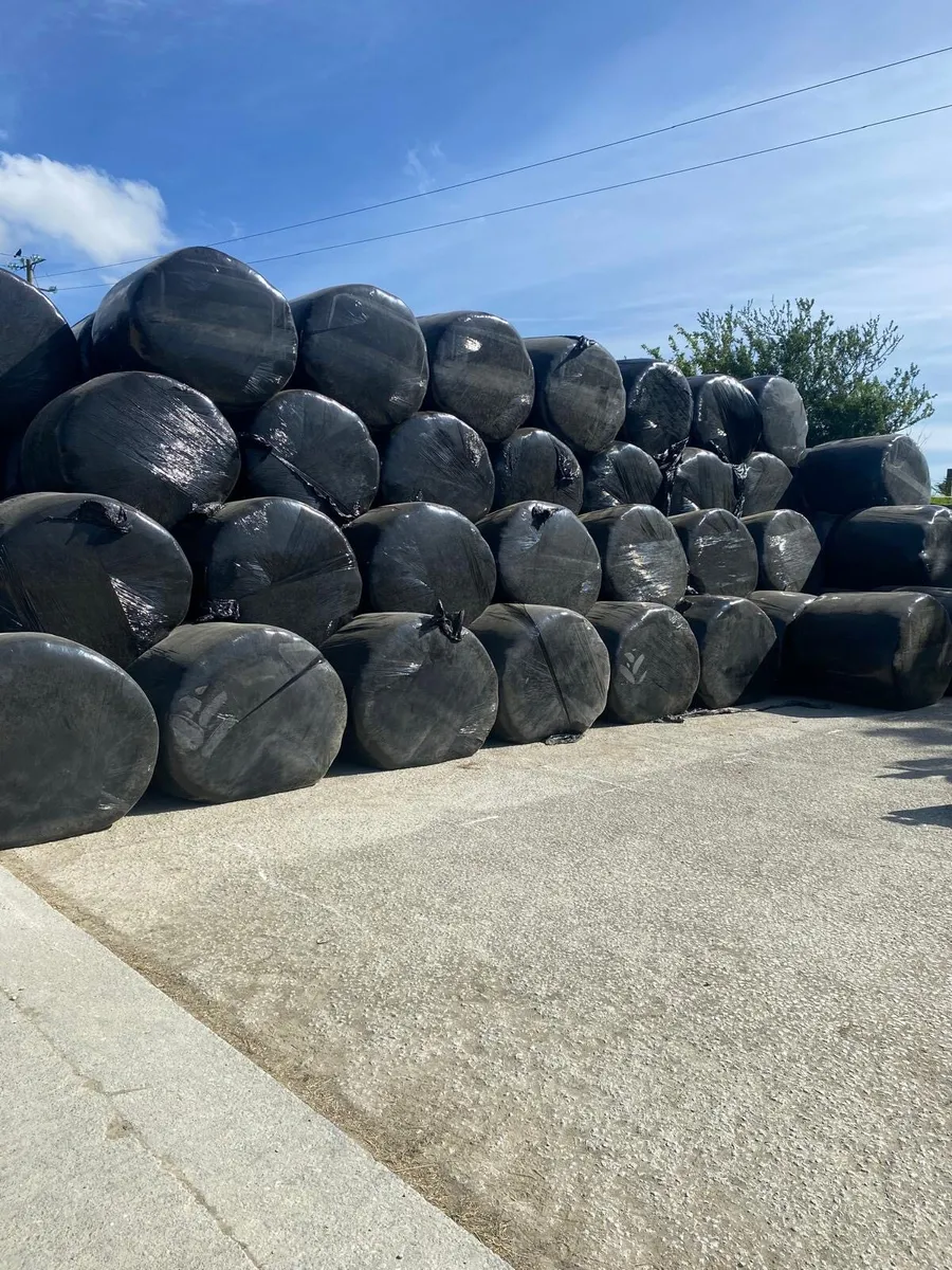Silage bales - Image 2