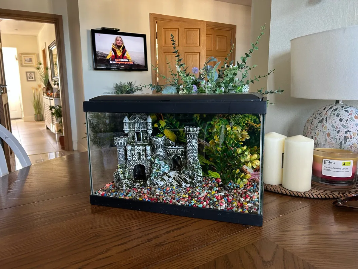 Fish tank - Image 1