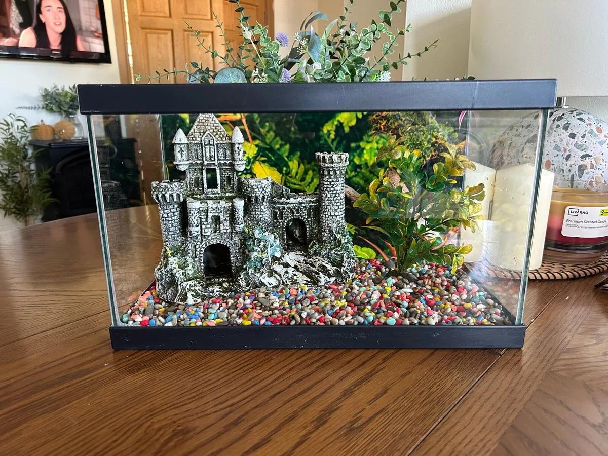 Fish tank - Image 2