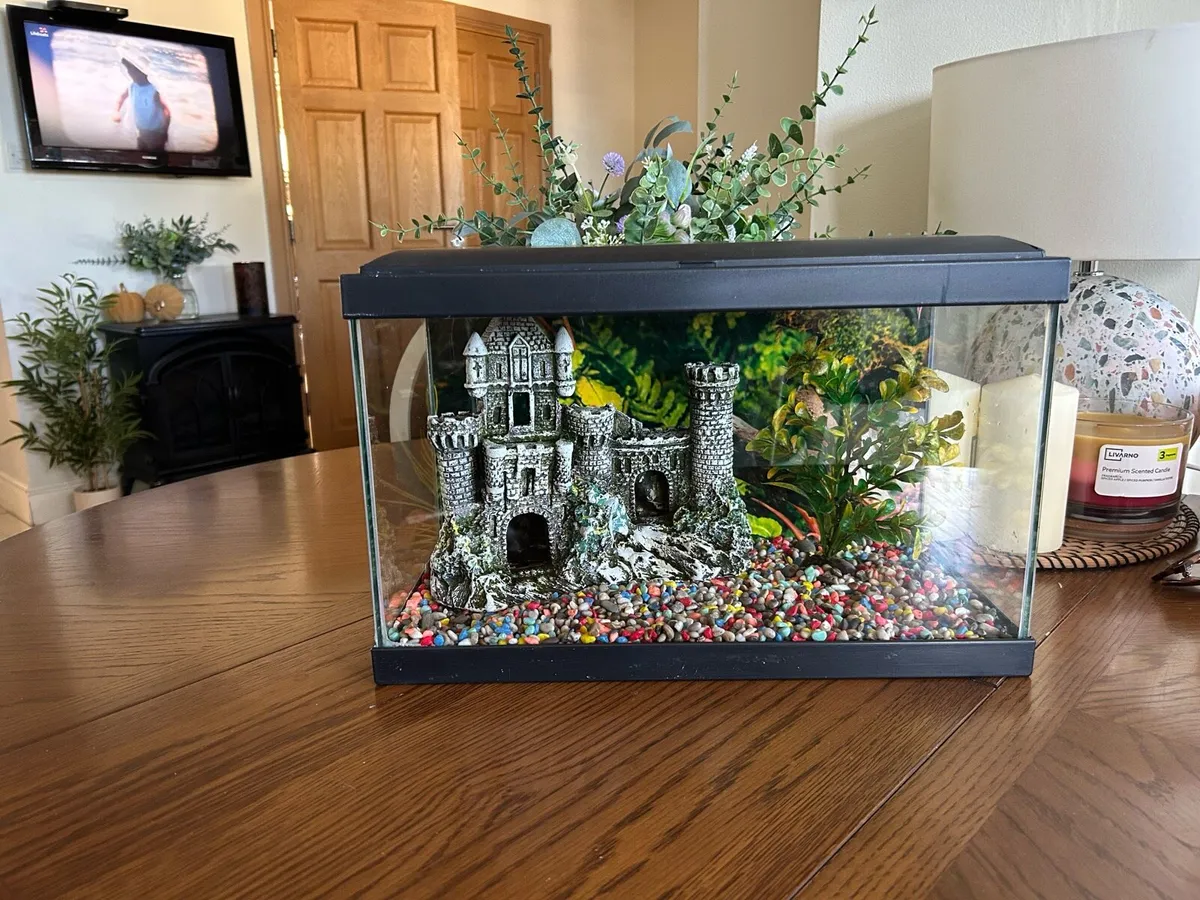 Fish tank - Image 3