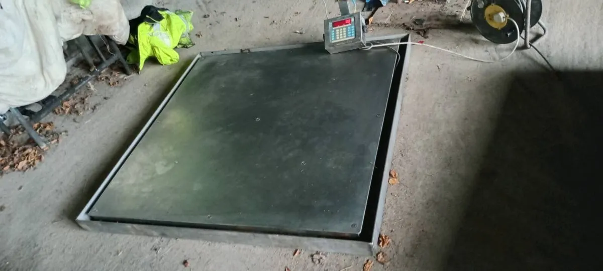 Pallet weighing scales - Image 1