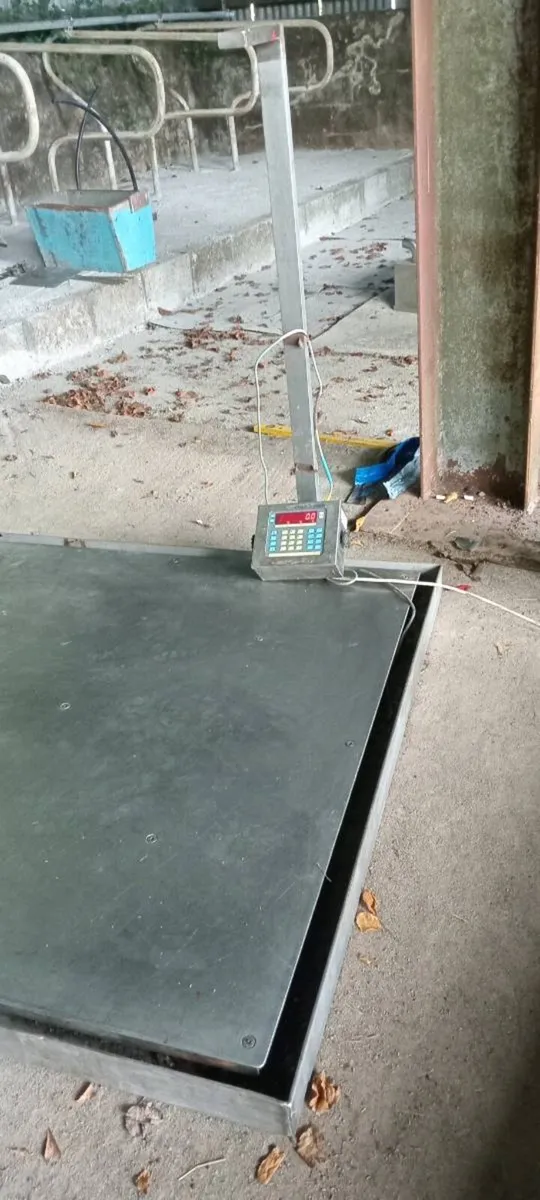 Pallet weighing scales - Image 3