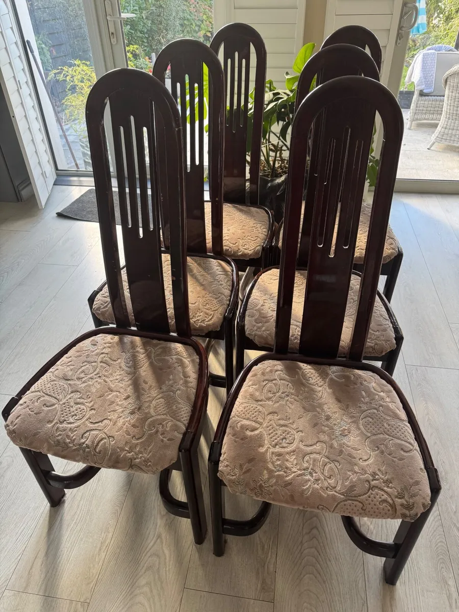 6 of classic Dinner chairs