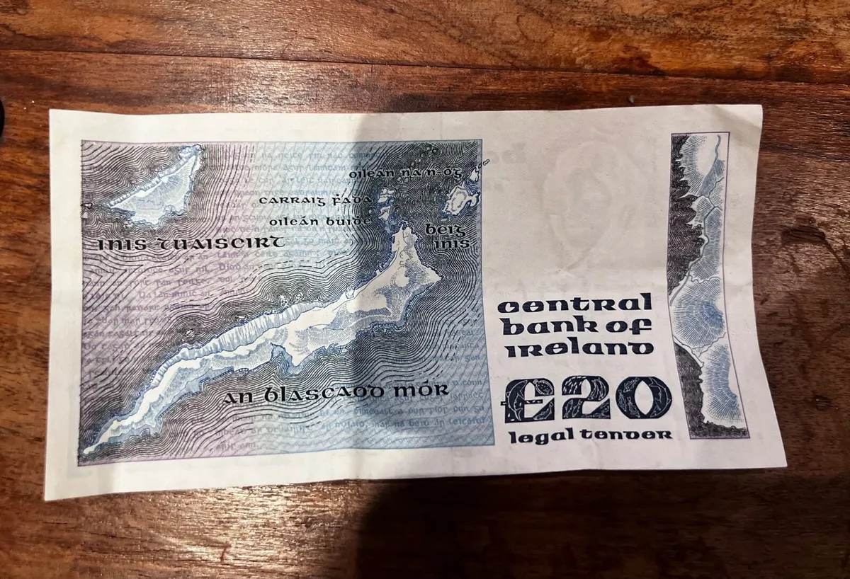 Old Irish £20 (Punt) - Image 2