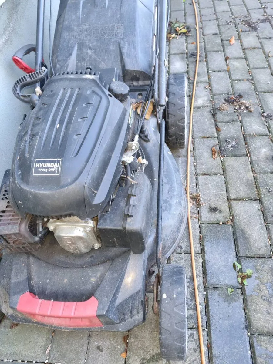 self-propelled lawn mower - Image 1