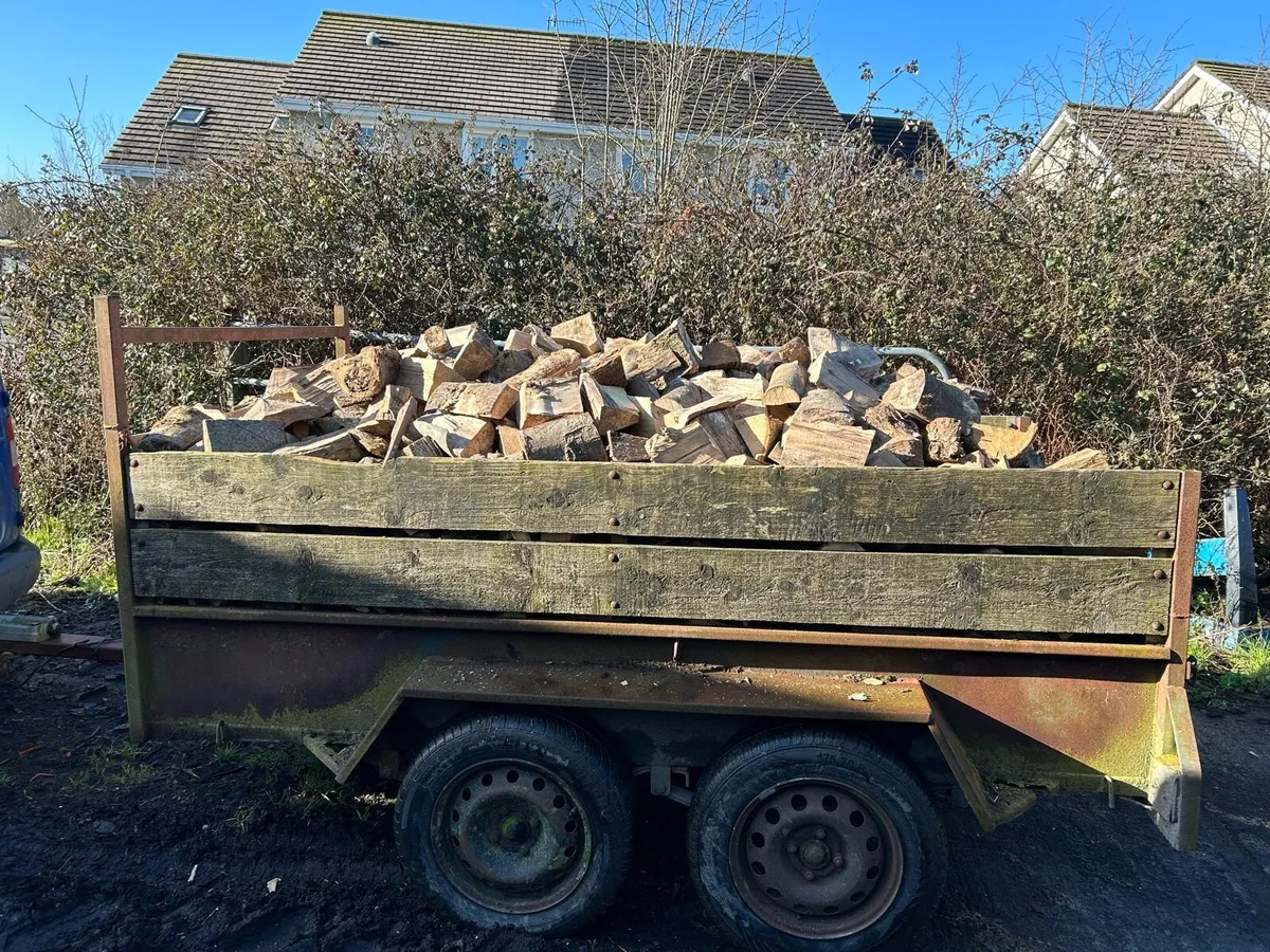 Firewood - Image 2