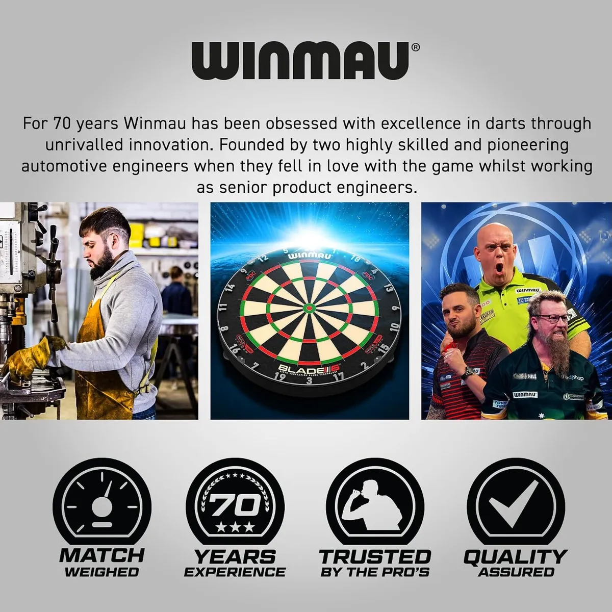 Professional Pdc-Approved Blade 6 Dartboard + - Image 4
