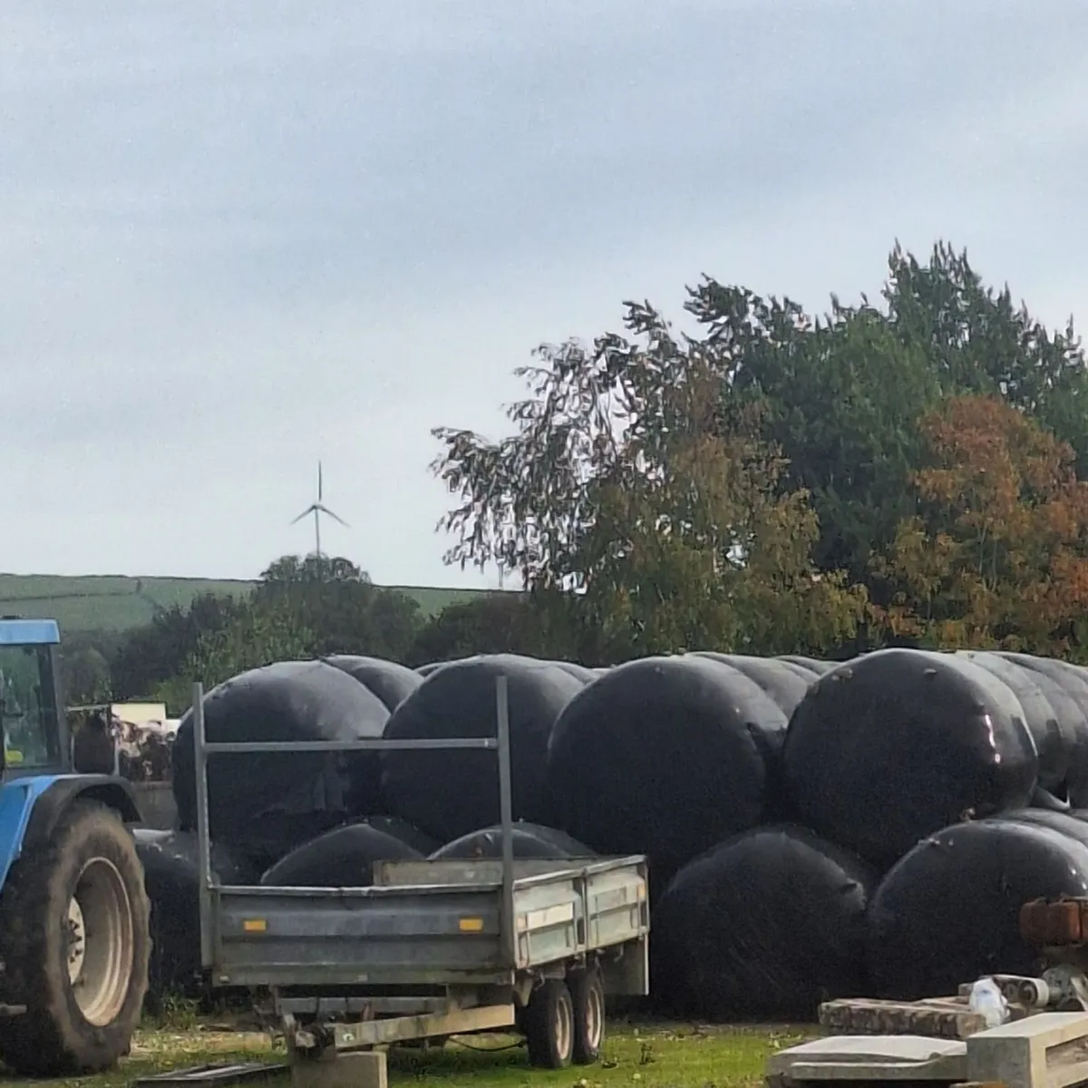 Haylage