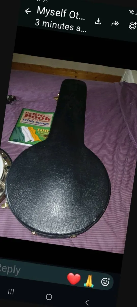 Deering banjo. - Image 4