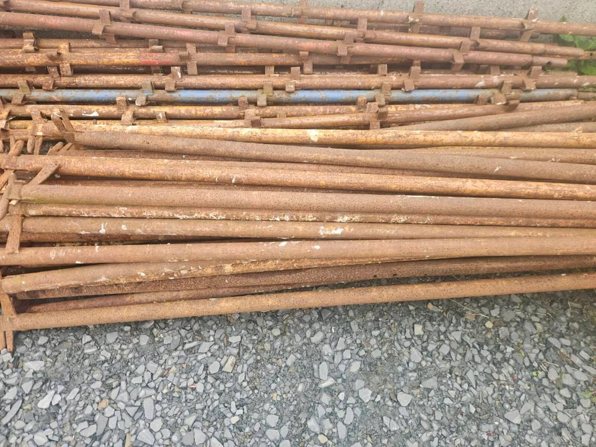 Scaffolding - Image 1