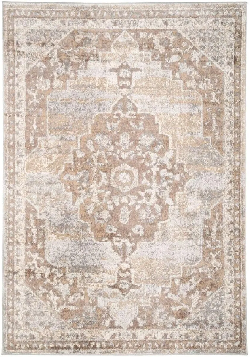 Antique Warm Neutral Greige Living Room Area Rug - Image 1