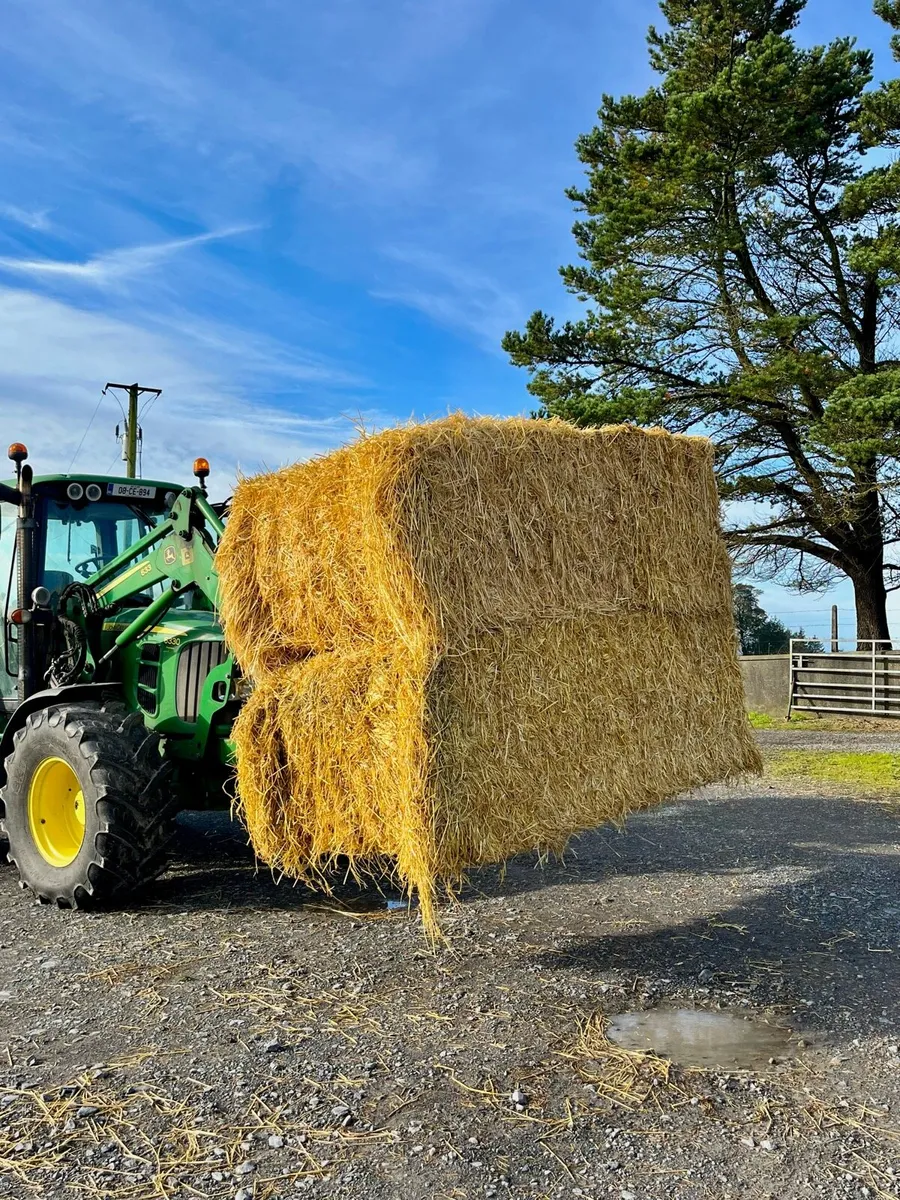 Barley straw for sale - Image 1