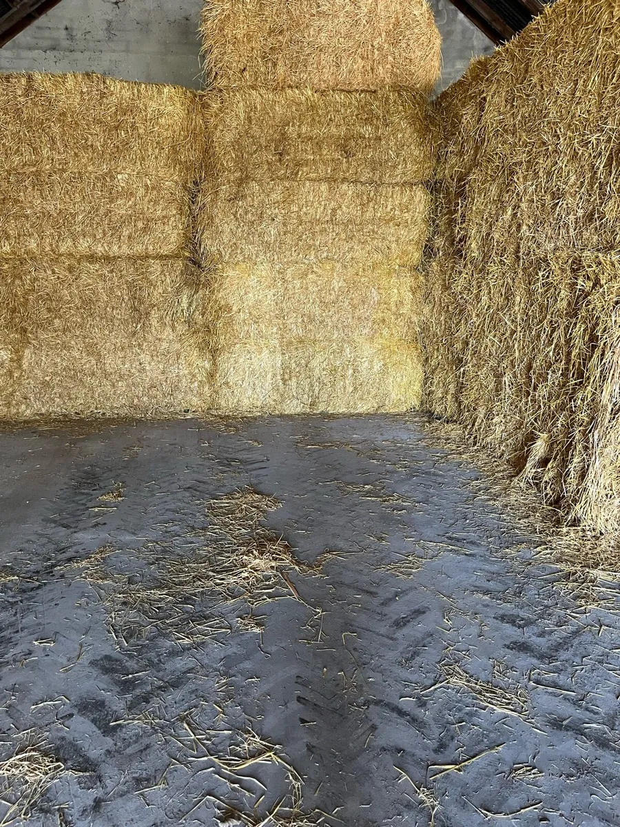 Barley straw for sale - Image 2