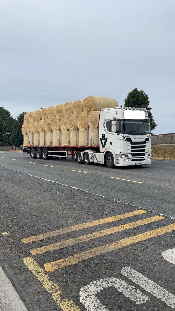 Barley straw for sale - Image 3