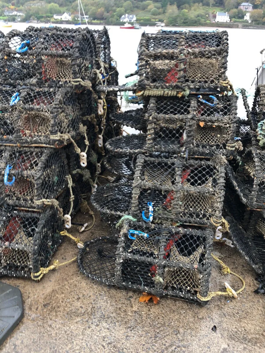 Lobster/crab pots - Image 3