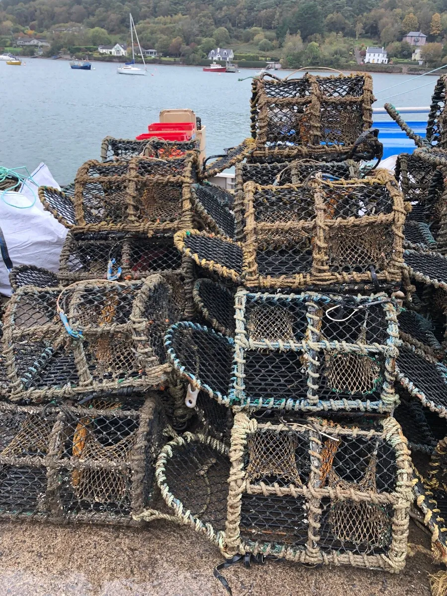 Lobster/crab pots - Image 4