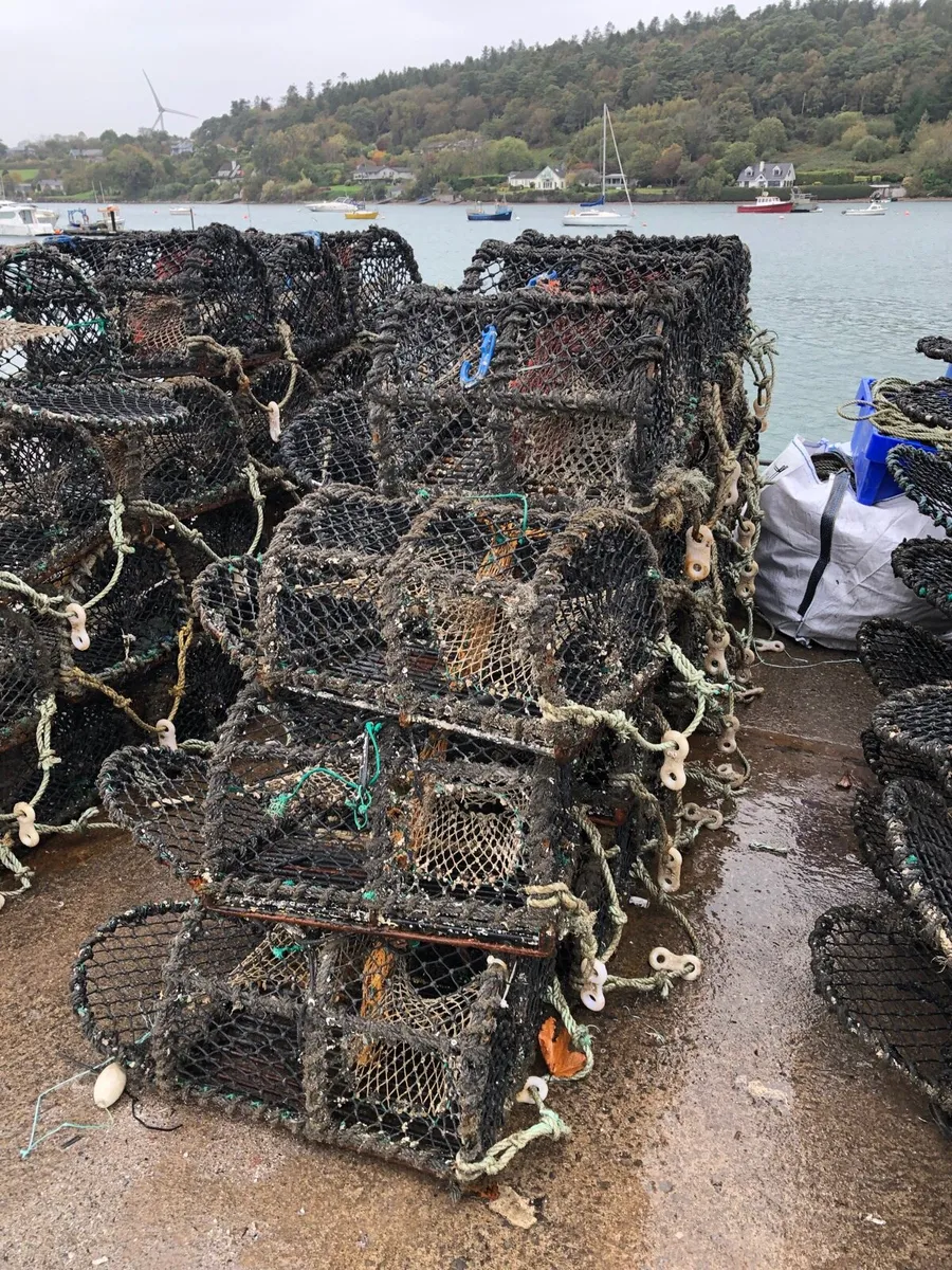 Lobster/crab pots - Image 1