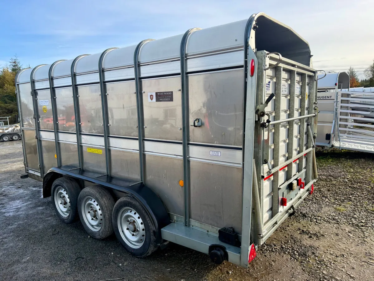 Ifor Williams 14x6 sheep trailer - Image 3