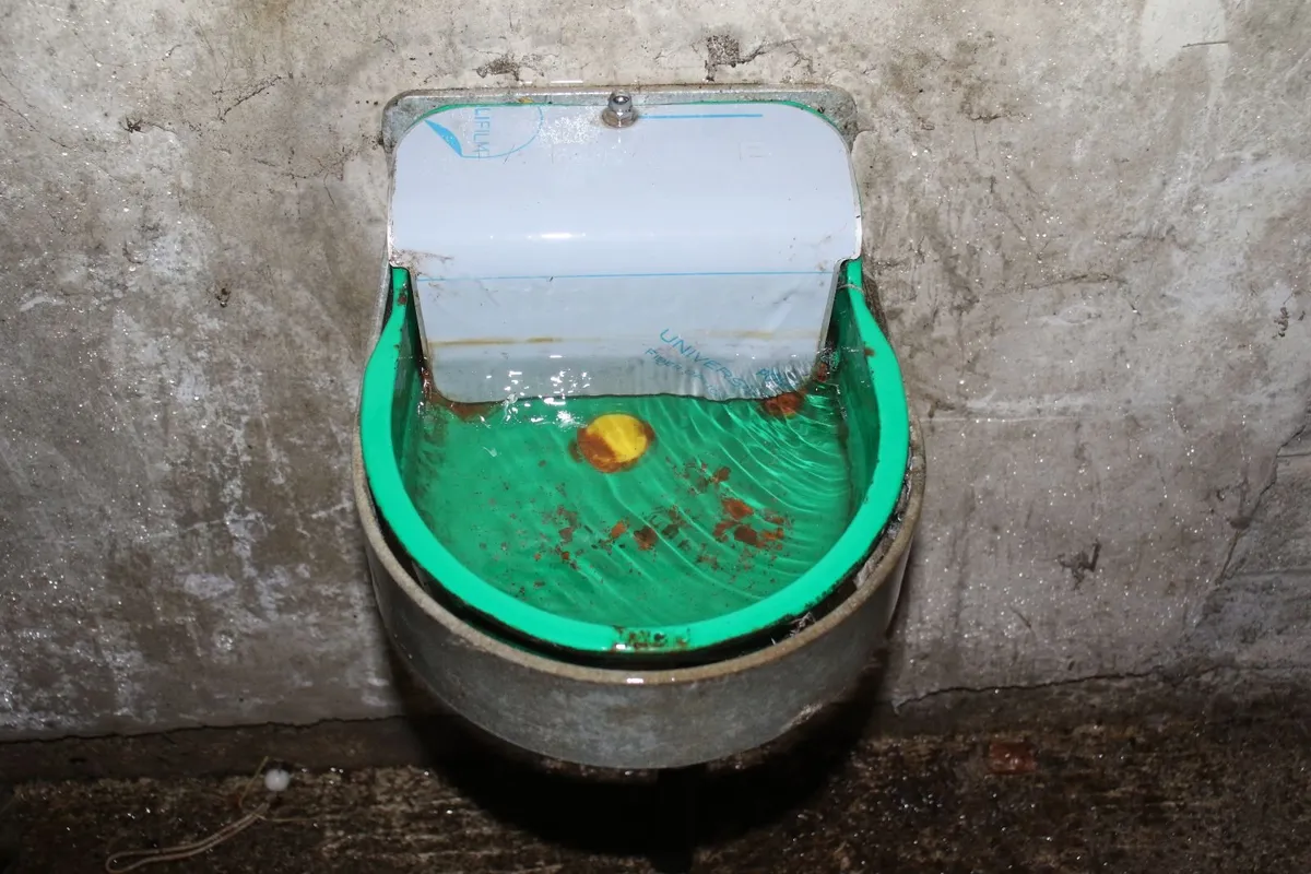 Water Troughs - Image 2