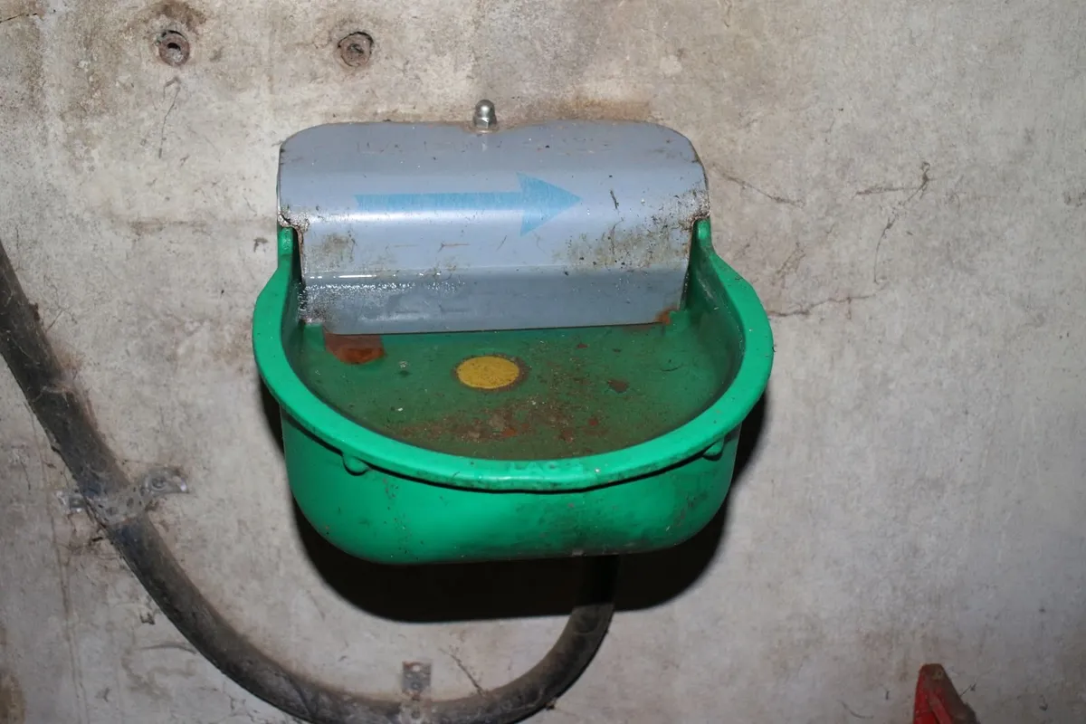 Water Troughs - Image 4