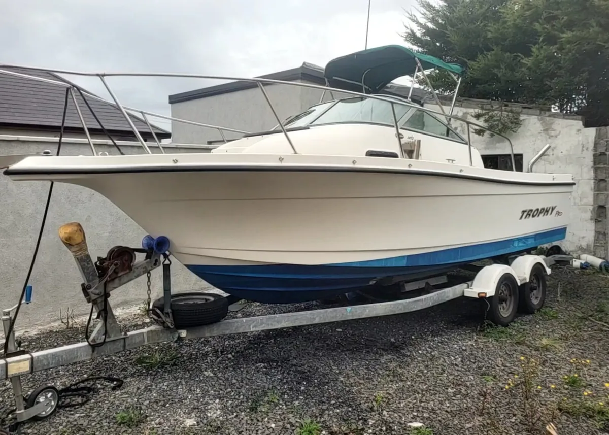 Bayliner trophy pro 2052 diesel 120hp - Image 1