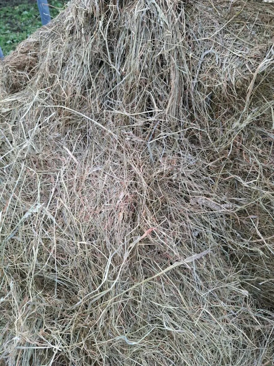 Horse haylage - Image 1