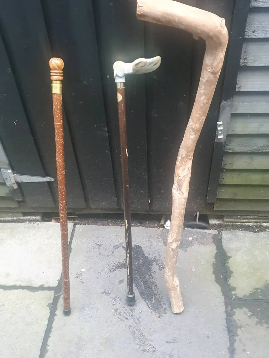 Walking sticks - Image 1