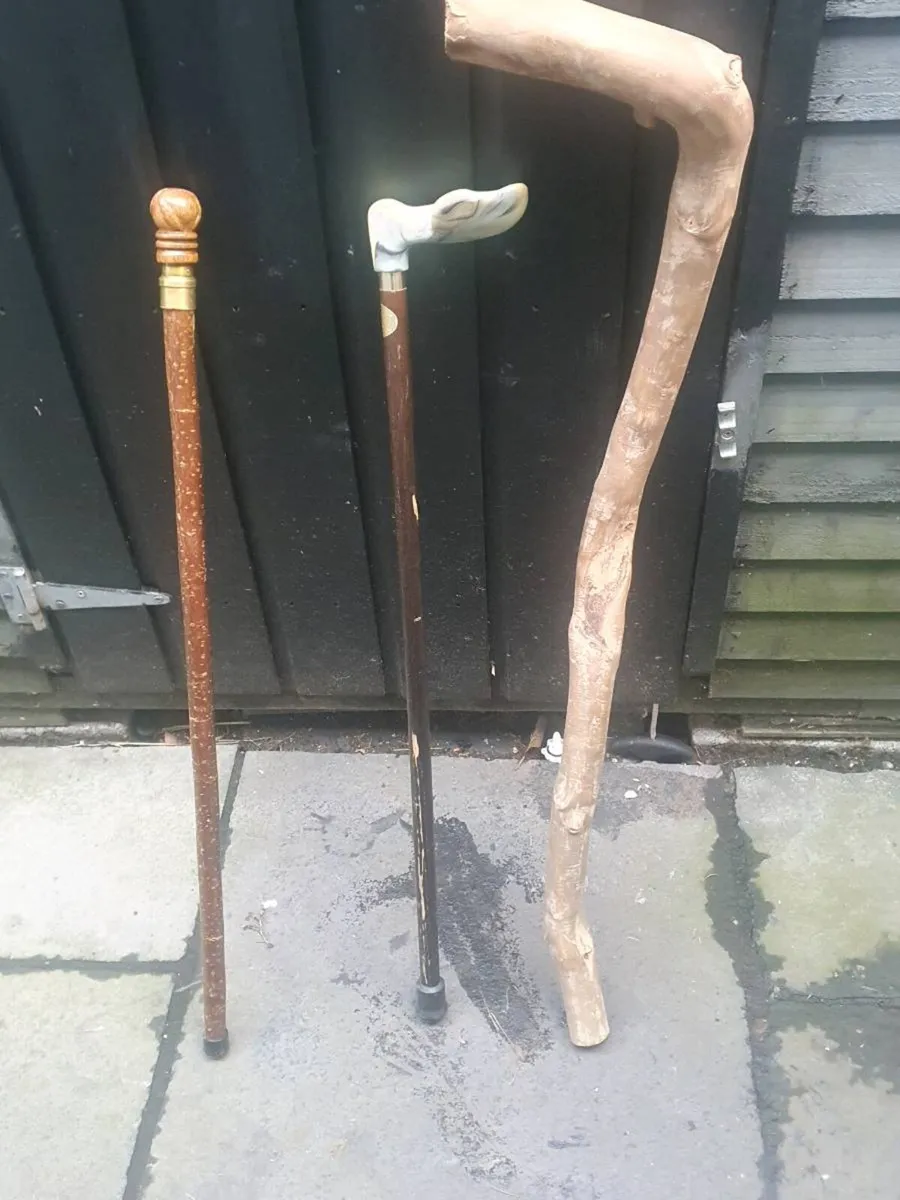Walking sticks - Image 2