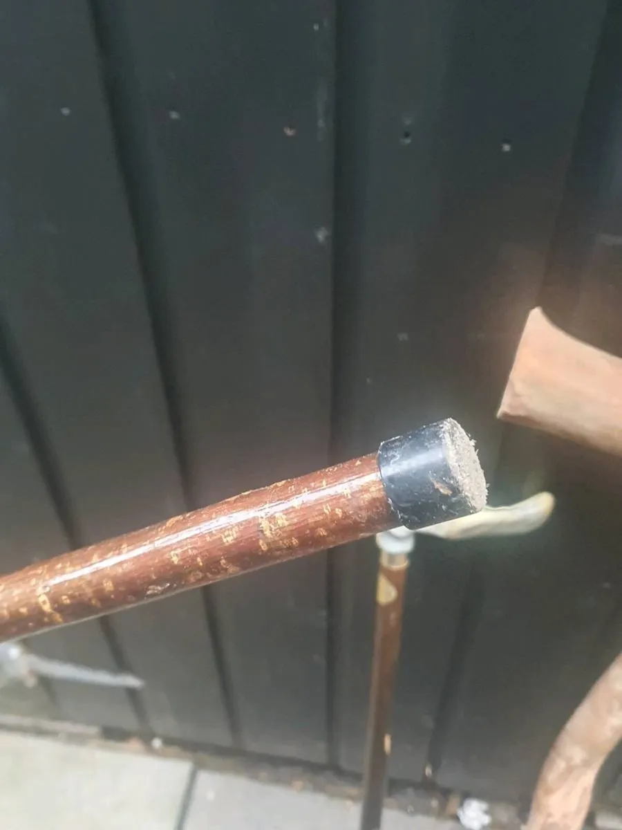 Walking sticks - Image 4