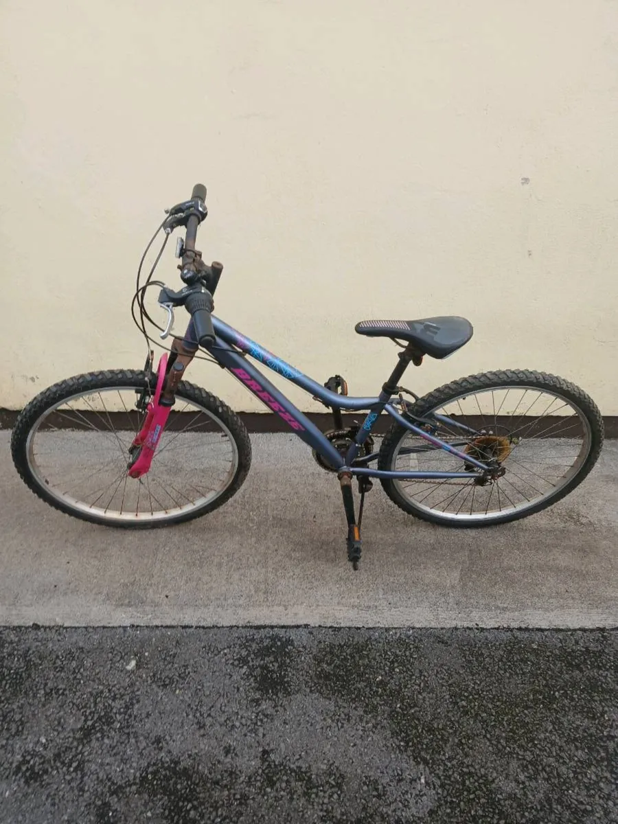 Bicycles - Image 4
