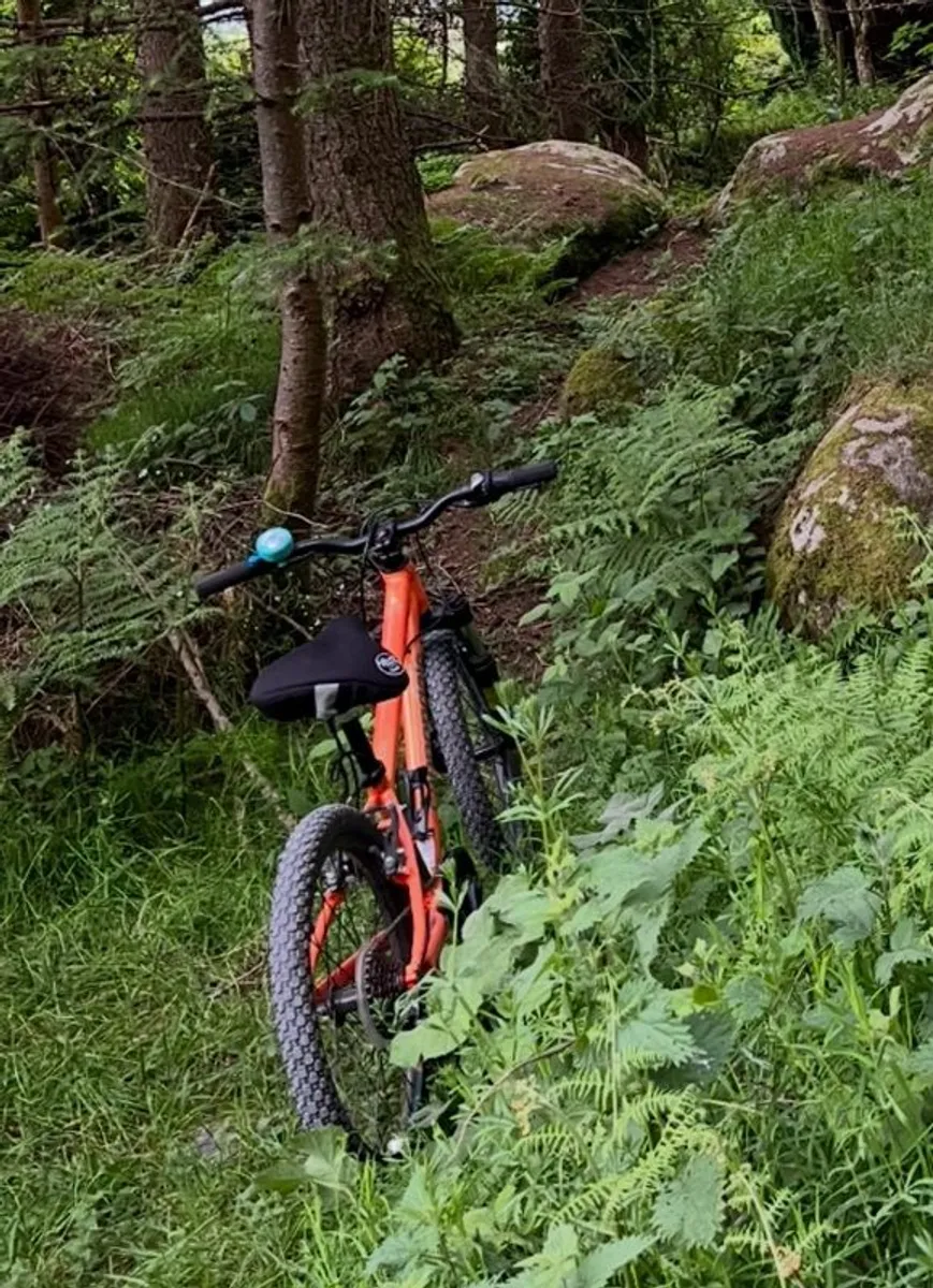 kids' mountain bike - Image 2