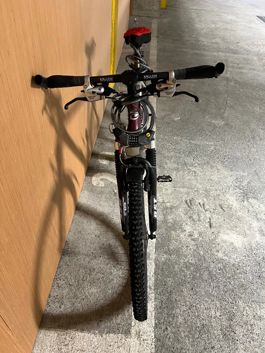 Bicycle - Image 4