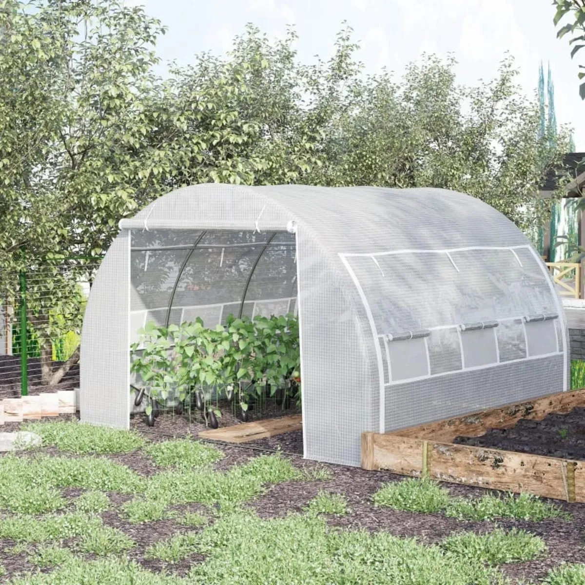 3 x 3 x 2 m Polytunnel Greenhouse with Roll-up Sid - Image 4
