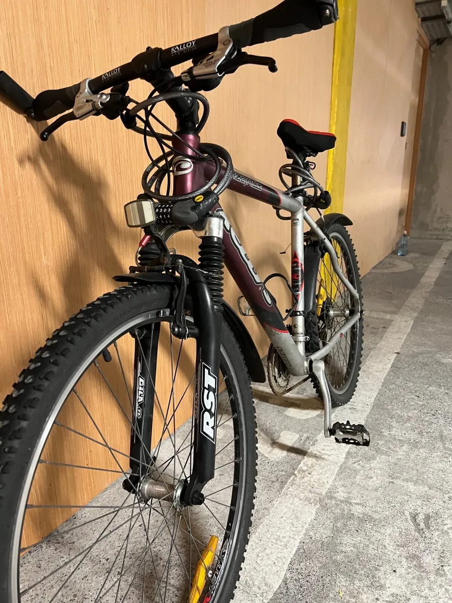 Bicycle - Image 3