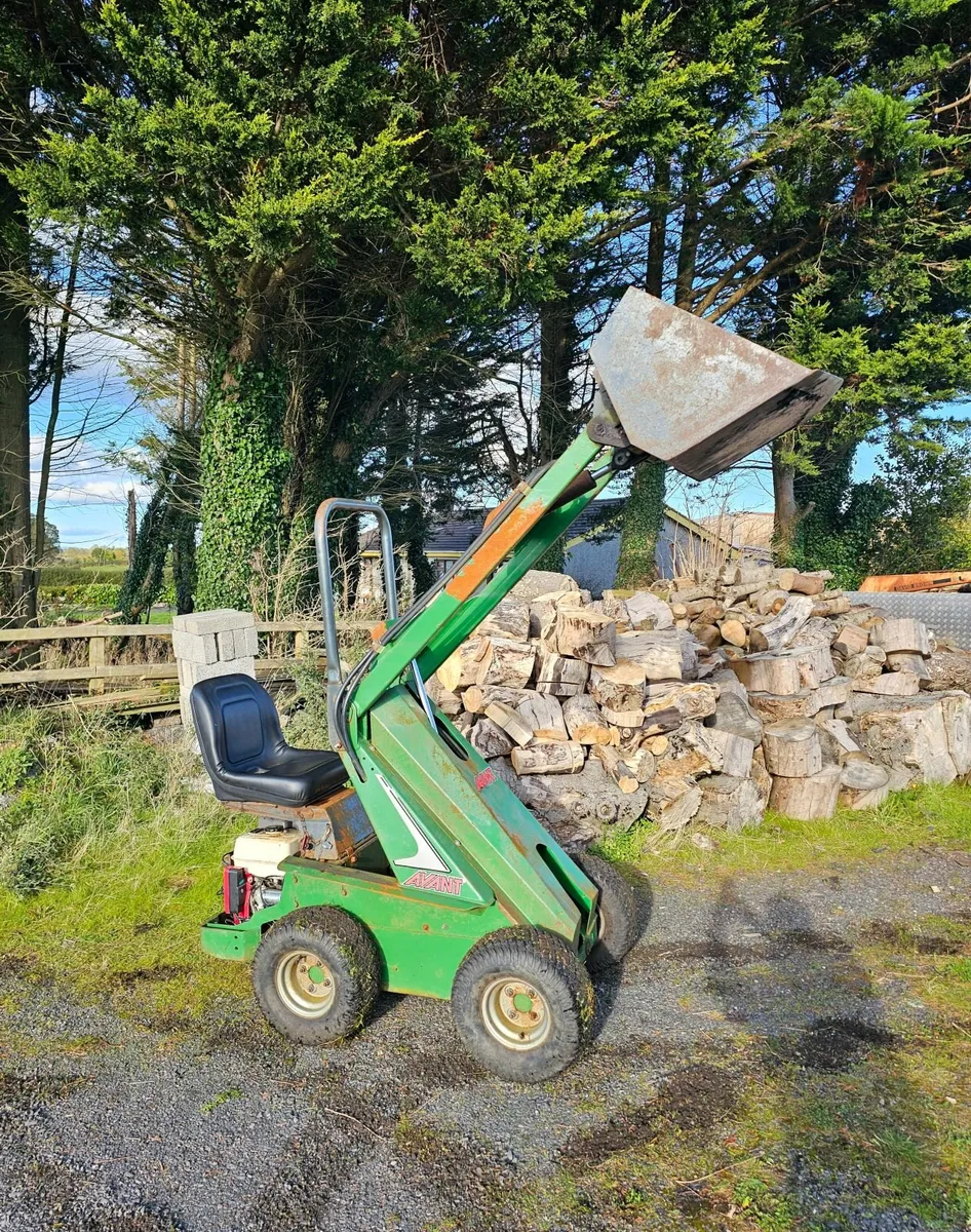 Avant loader - Image 4