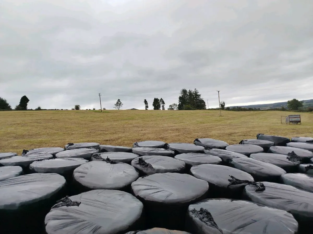 Silage Bales - Image 1